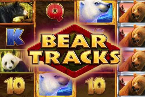 слот Bear Tracks