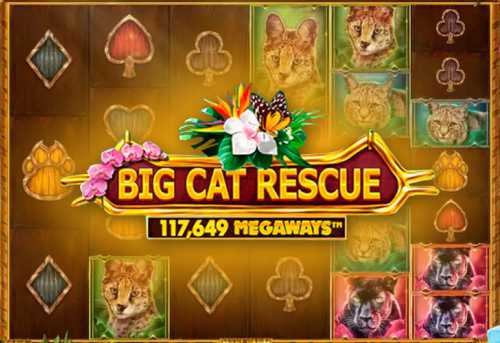 слот Big Cat Rescue MegaWays