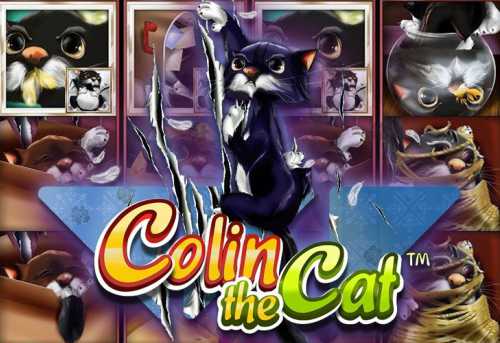 слот Colin the Cat