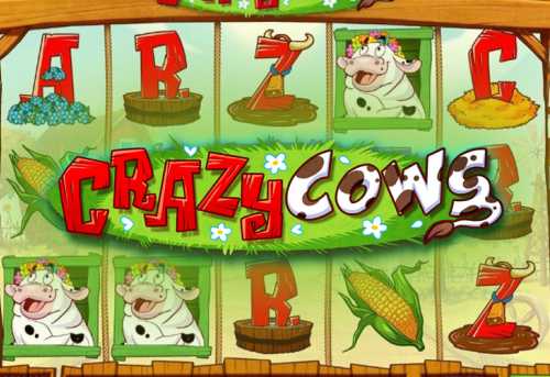 слот Crazy Cows