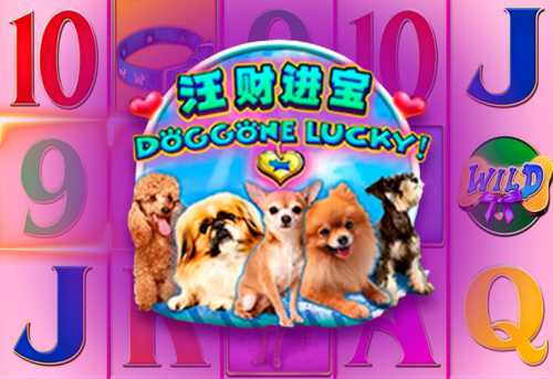 слот Doggone Lucky!