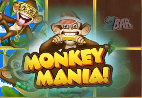 слот Monkey Mania