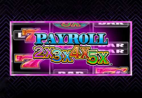 слот Payroll 2x3x4x5x