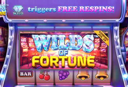 слот Wilds of Fortune