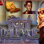 Игровой аппарат Agent Valkyrie