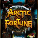 Игровой аппарат Arctic Fortune