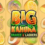 Игровой аппарат Big Kahuna Snakes & Ladders