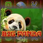 Игровой аппарат Big Panda