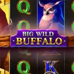 обзор слота Big Wild Buffalo