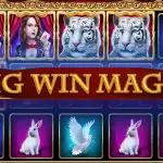 обзор слота Big Win Magic