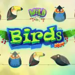 обзор слота Bird Slot