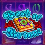 Игровой аппарат Book of Fortune