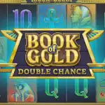 Игровой аппарат Book of Gold: Double Chance