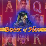 Игровой аппарат Book of Hor