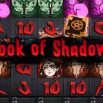 Игровой аппарат Book of Shadows