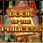 обзор слота Book of the Princess