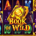 Игровой аппарат Book of Wild