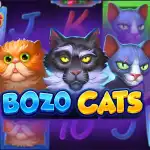 обзор слота Bozo Cats