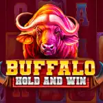 Игровой аппарат Buffalo Hold and Win