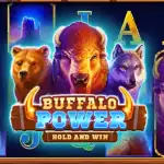 Игровой аппарат Buffalo Power: Hold and Win