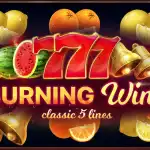 Игровой аппарат Burning Wins: classic 5 lines