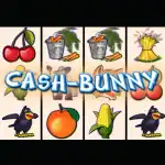 обзор слота Cash Bunny