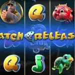 Игровой аппарат Catch & Release