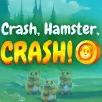 обзор слота Crash, Hamster, Crash