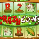 Игровой аппарат Crazy Cows