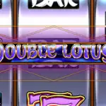 Игровой аппарат Double Lotus