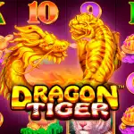 Игровой аппарат Dragon Tiger