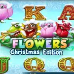 Игровой аппарат Flowers Christmas Edition