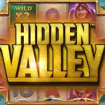 Игровой аппарат Hidden Valley