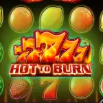 Игровой аппарат Hot to Burn