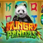 обзор слота Hungry Pandas