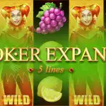 Игровой аппарат Joker Expand: 5 lines