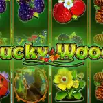 обзор слота Lucky Wood