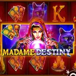 Игровой аппарат Madame Destiny