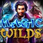 Игровой аппарат Magic Wilds