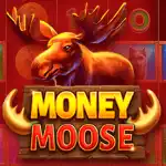 обзор слота Money Moose