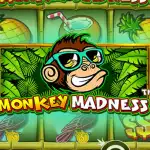 Игровой аппарат Monkey Madness