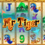 обзор слота Mr Tiger