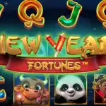 Игровой аппарат New Year Fortunes