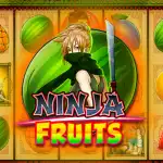 Игровой аппарат Ninja Fruits