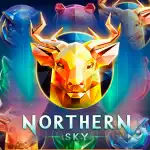 Игровой аппарат Northern Sky