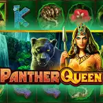 Игровой аппарат Panther Queen