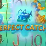 обзор слота Perfect Catch