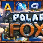 Игровой аппарат Polar Fox