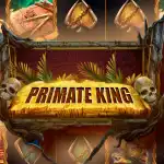 Игровой аппарат Primate King