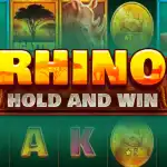 обзор слота Rhino Hold and Win